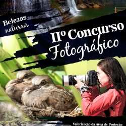 II Concurso Fotográfico
