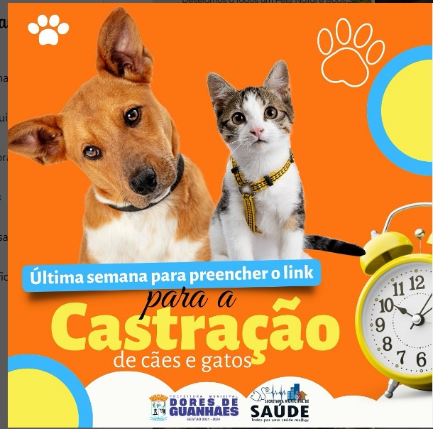 Última semana para preencher o link para castração de cães e gatos.  https://pt.surveymonkey.com/r/BXZKKXF